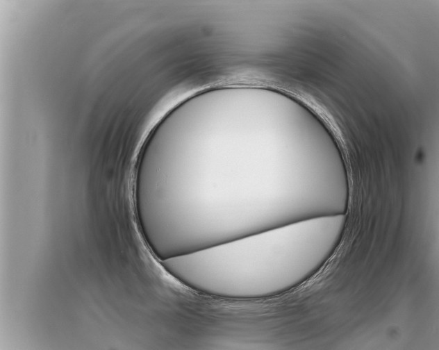 X0000095121486200712070931