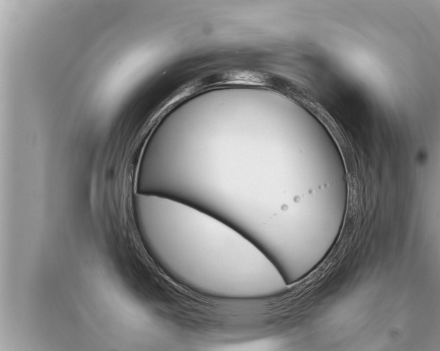 X0000095121487200712070931