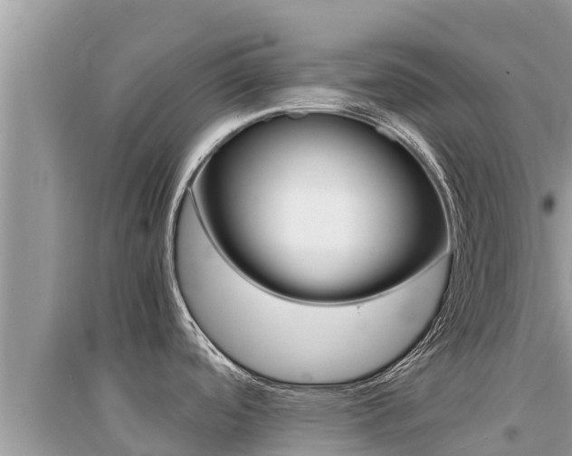 X0000095121488200712070931