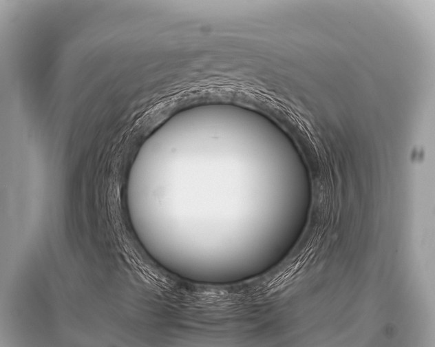 X0000095121489200712070930