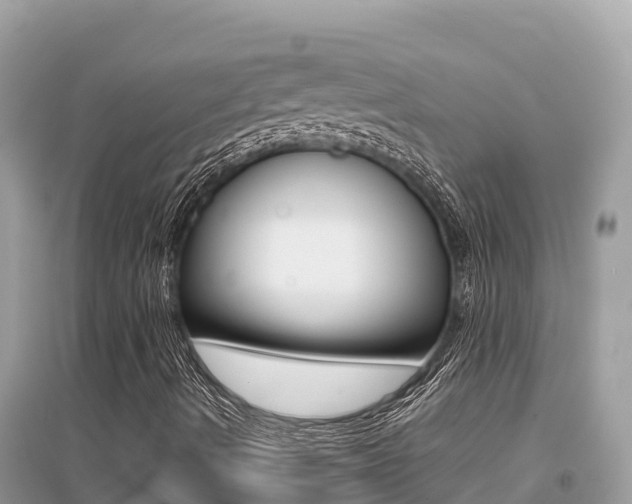 X0000095121490200712070930