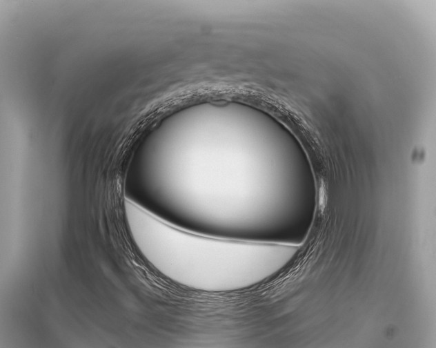 X0000095121492200712070930
