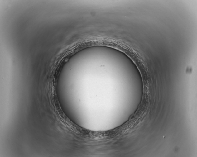 X0000095121493200712070930