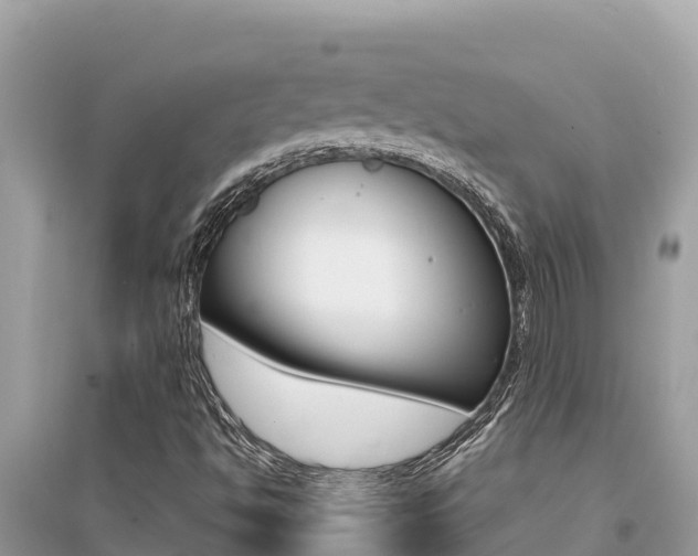 X0000095121494200712070930