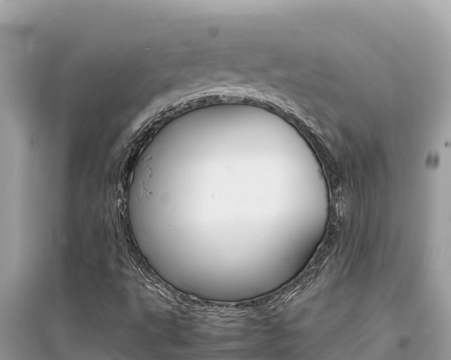 X0000095121495200712070930