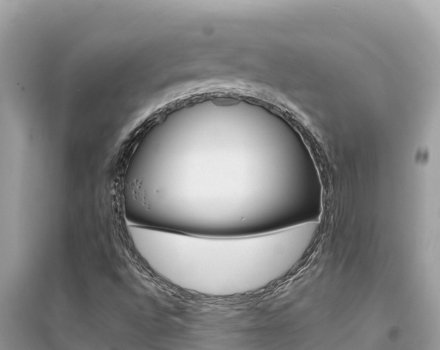 X0000095121496200712070930