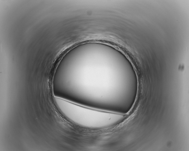 X0000095121497200712070930