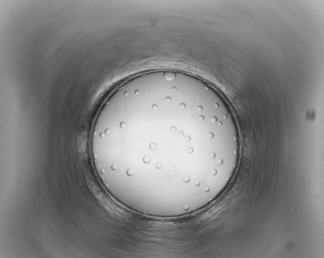 X0000095121499200712070930