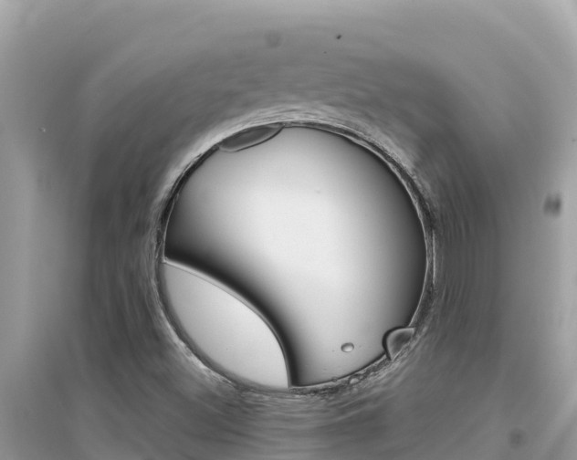 X0000095121500200712070930