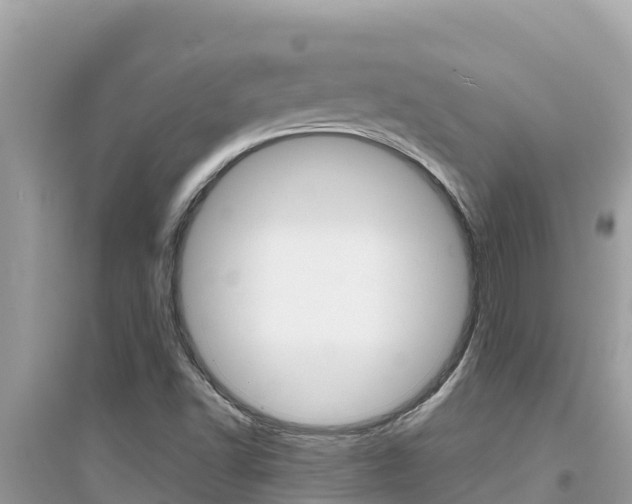 X0000095121502200712070930