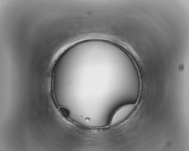 X0000095121504200712070930