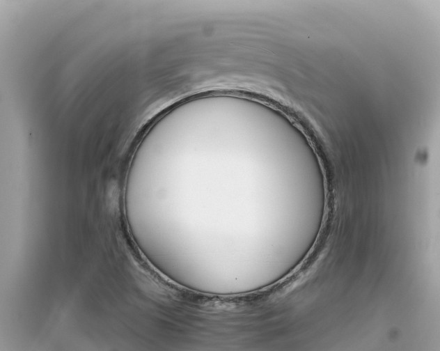 X0000095121505200712070930