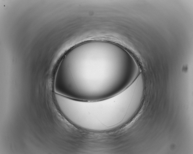 X0000095121506200712070930