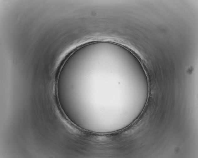 X0000095121507200712070930