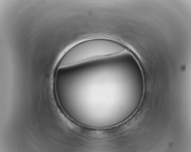 X0000095121508200712070930