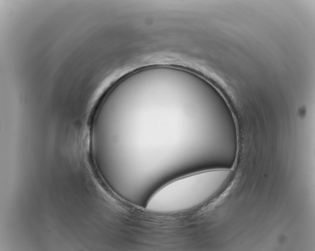 X0000095121509200712070930