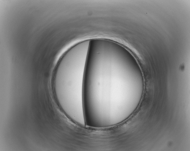 X0000095121510200712070930