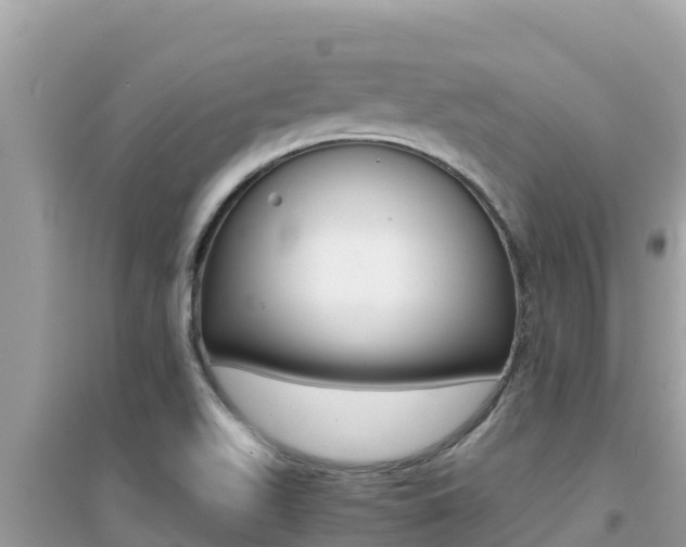 X0000095121511200712070930
