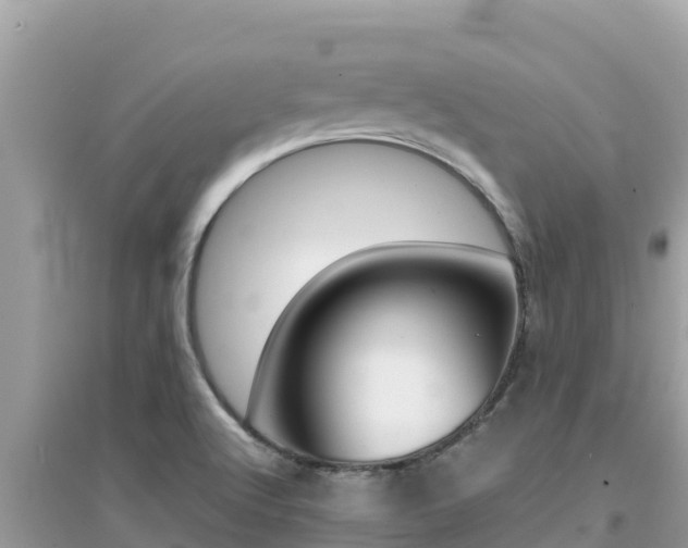 X0000095121512200712070930