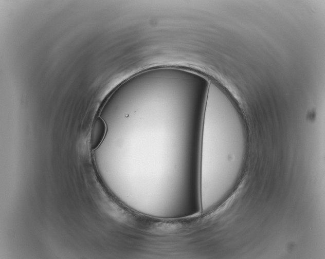 X0000095121513200712070930