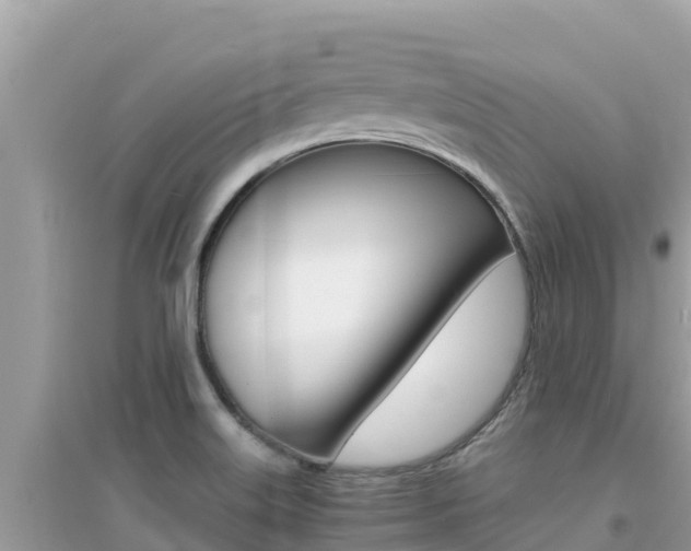 X0000095121515200712070930