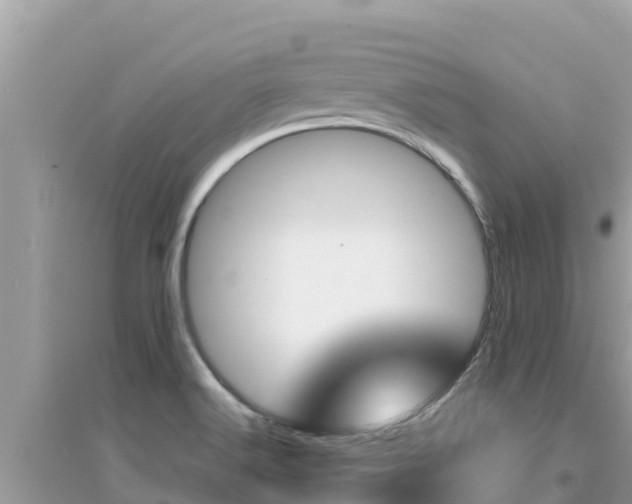 X0000095121516200712070930