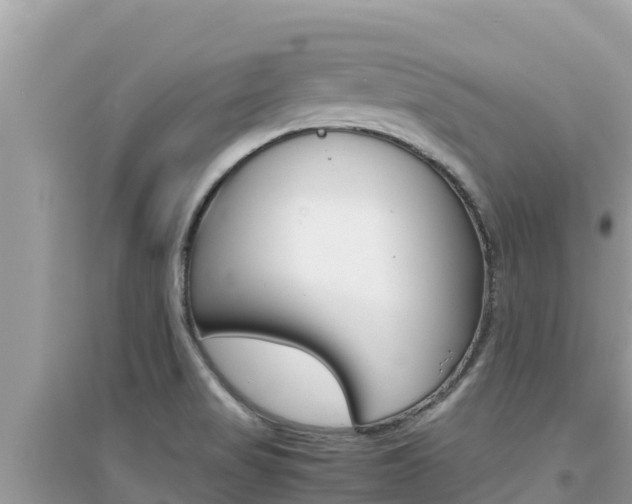 X0000095121517200712070930
