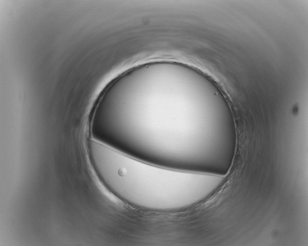 X0000095121519200712070930