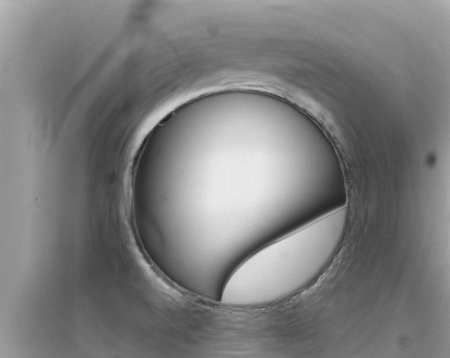 X0000095121520200712070930