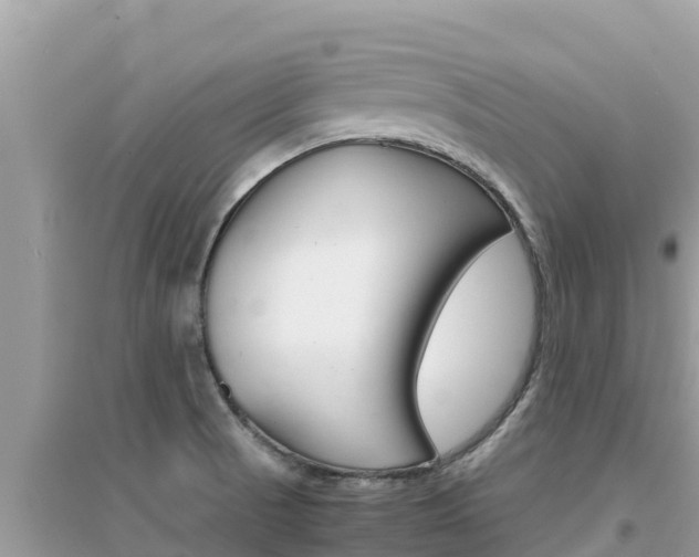 X0000095121521200712070930