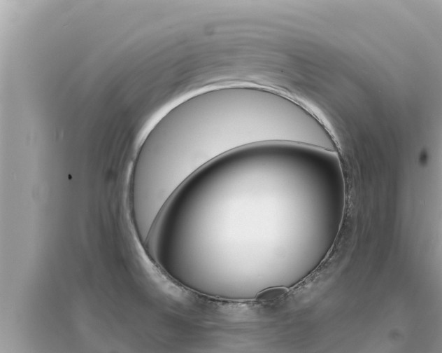 X0000095121524200712070930