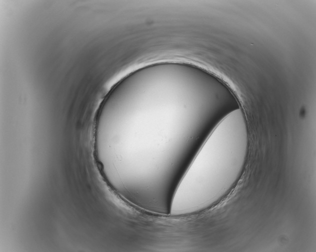 X0000095121526200712070930