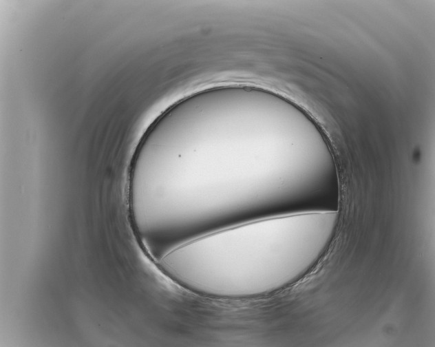 X0000095121527200712070931