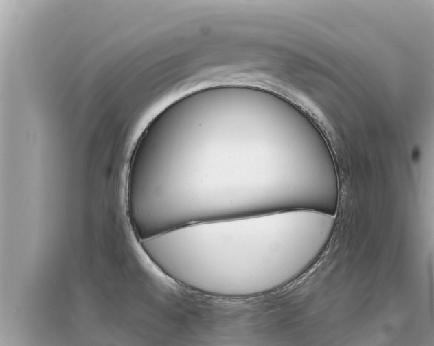 X0000095121528200712070931