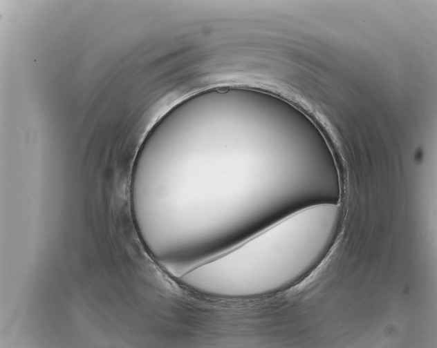 X0000095121529200712070931