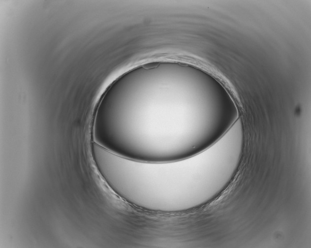 X0000095121530200712070931