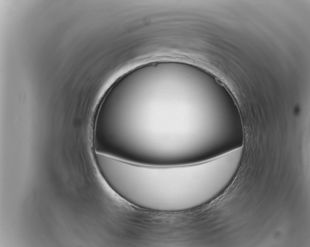 X0000095121531200712070931