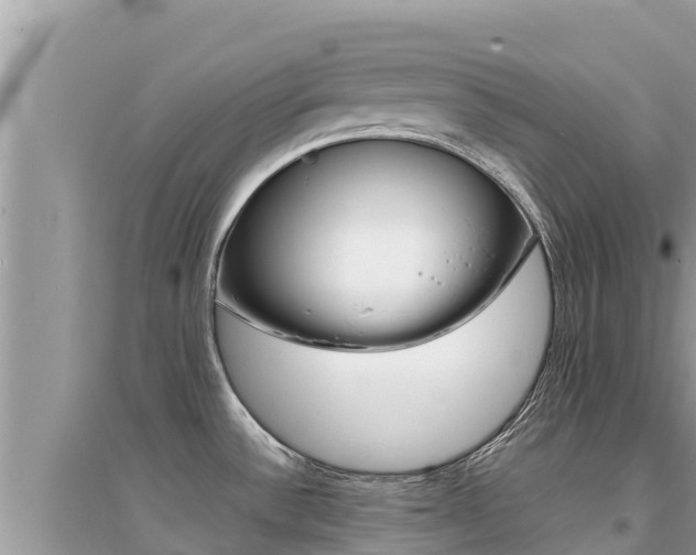 X0000095121532200712070931