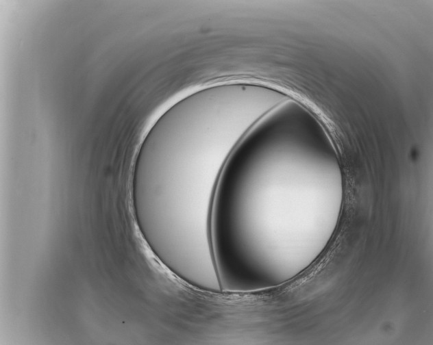X0000095121534200712070931