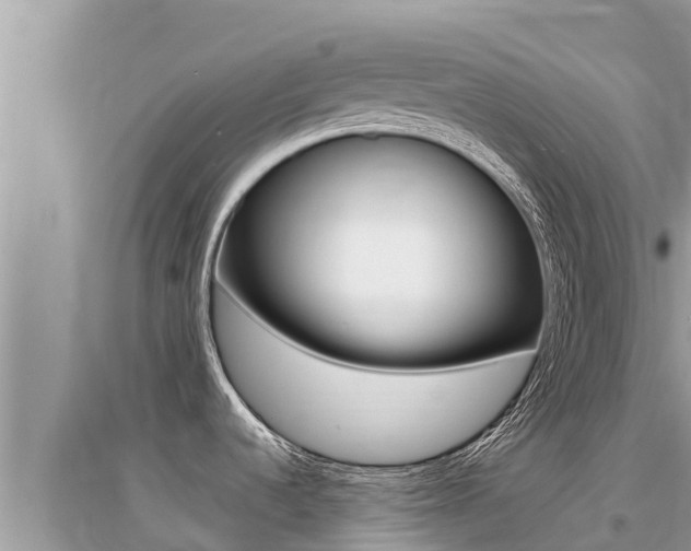 X0000095121536200712070931
