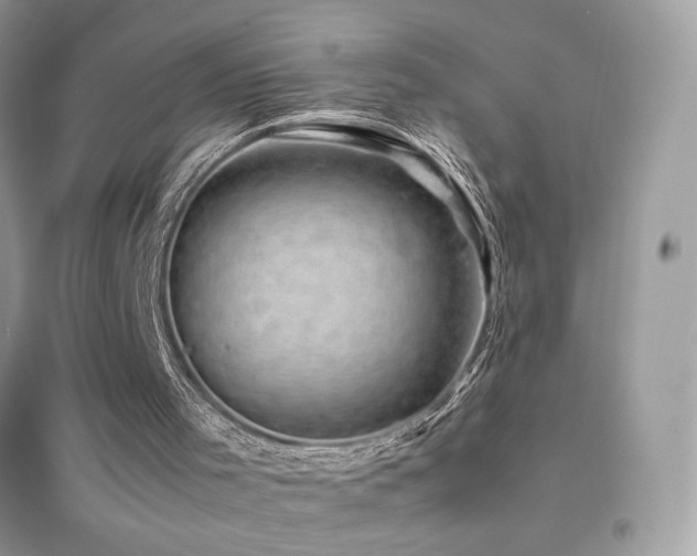 X0000095120001200712071251