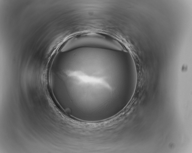 X0000095120002200712071251