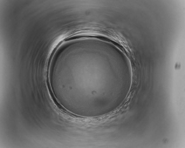 X0000095120003200712071251