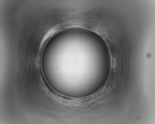 X0000095120004200712071251