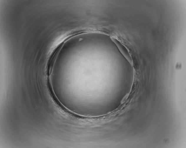 X0000095120005200712071251