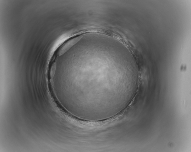 X0000095120006200712071251