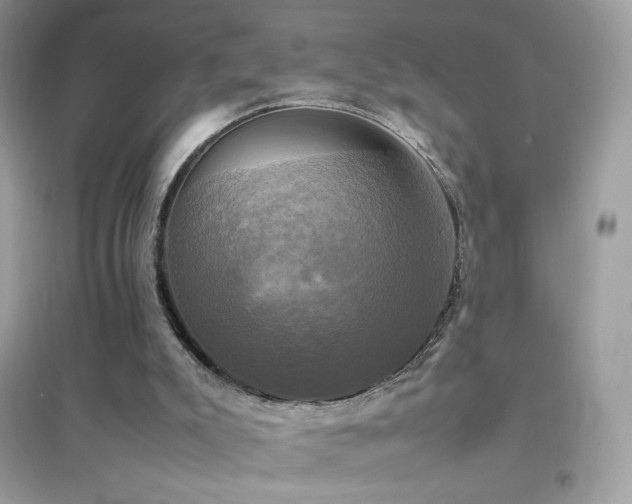 X0000095120007200712071251