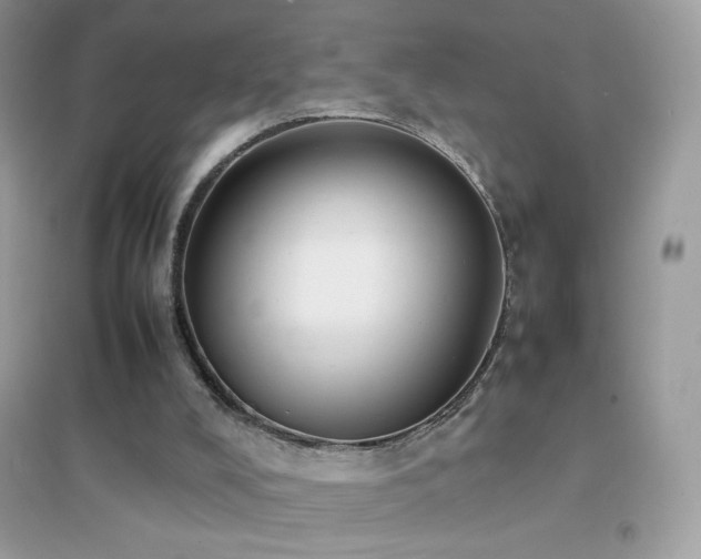 X0000095120008200712071251