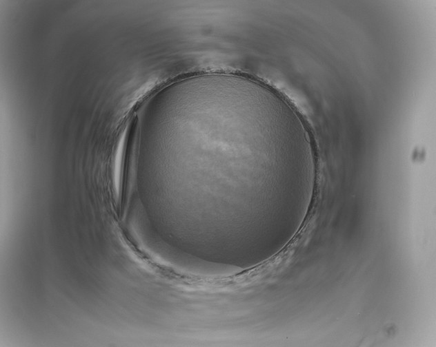 X0000095120009200712071251