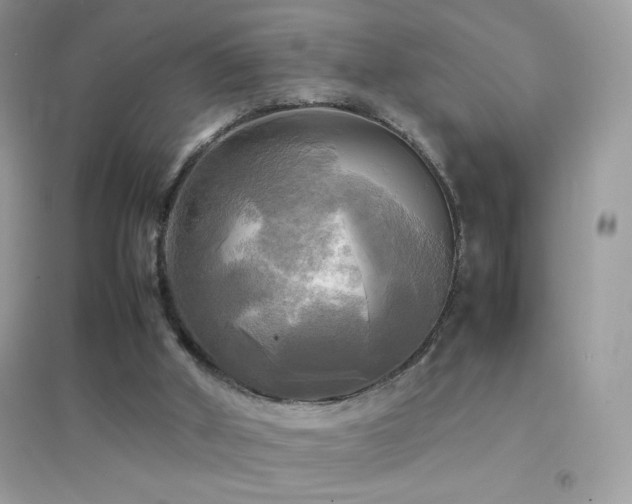 X0000095120010200712071251